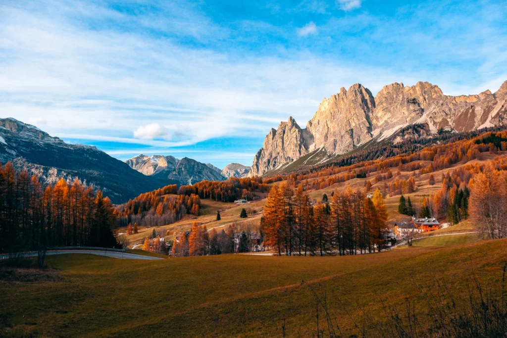 wildlife photography in the Dolomites – deer in Cadore forest